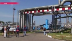 Чемоданы наличных Порошенко: депутат в бегах Онищенко рассказал, как работают "газовые схемы" по выводу денег в Украине