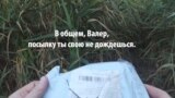 На берегу Дона нашли десятки выпотрошенных посылок "Почты России"