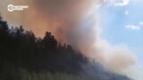 Под Екатеринбургом продолжают тушить лесные пожары