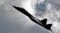 Russia -- OKB Sukhoi's T-50 multirole 5th generation fighter performs a test flight in Zhukovsky town, 15Aug2011