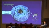 Нобелевская премия по медицине-2019: объясняем, кому дали и за что