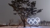 Америка: корпорации против оружия и итоги Олимпиады