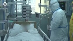 Новости. Коротко