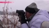 В Кыргызстане началась охота на волков