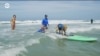 Как собак учат заниматься серфингом