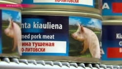 Африканская чума косит литовских свиней