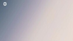 Новости. Коротко