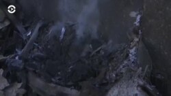 Новости. Коротко