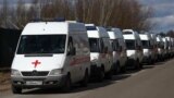 Статистика смертности вызывает вопросы. Вечер с Ириной Ромалийской