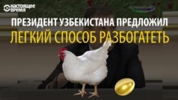 Куриная экономика президента Узбекистана