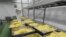 RUSSIA -- Vacuum-packed cooked peeled potatoes ready for shipment at Concord Culinary Line factory