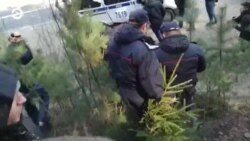 Новости. Коротко