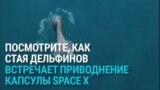 Стая дельфинов встречает приводнение космической станции Space X