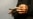 UKRAINE – An employee of the Ukrainian SkyFall company conducts a test flight with a P1-Sun interceptor drone at an undisclosed location in Ukraine on March 19, 2026