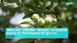 "Верстка": "Яблоко" сняли с выборов после того, как партия, по данным закрытых опросов, начала проходить в Госдуму