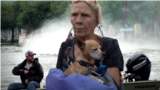 Смотри в оба: апокалипсис онлайн