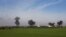 SYRIA -- Columns of smoke raise after airstrikes hit town of Saraqeb, in Idlib province, February 27, 2020