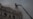Russia struck the Kiev-Pechersk Lavra. The Assumption Cathedral caught fire. Fire extinguished. June 15, 2026
