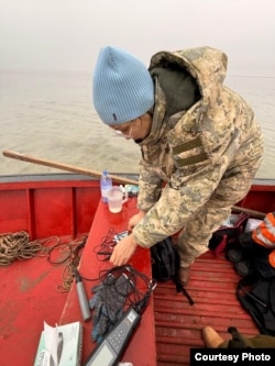 Айым Дүйсен исследует причины массовой гибели тюленей в Каспийском море