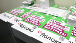 "Яблоко" сняли с выборов в заксобрание в Свердловской области России