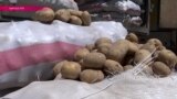 "Картофельная война" закончилась, фермеры считают потери