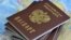 Russia -- Russian passports - generic, March 3, 2014.
