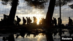 Сирийские беженцы на границе Греции и Македонии