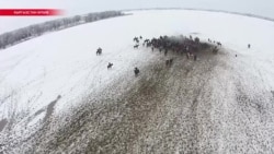 Азия: в Китае притесняют этнических казахов. 8 декабря