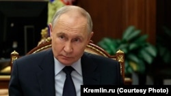 Владимир Путин на фоне растения, 6 декабря 2026 года