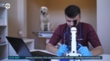 Детали: секрет долголетия собак и искусственный интеллект в медицине