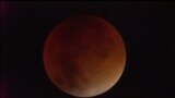 Жители разных уголков мира наблюдали "кровавую луну"