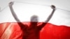 "Хотел поднять этот флаг против насилия". Почему белорусский боец MMA отпраздновал победу с бело-красно-белым флагом