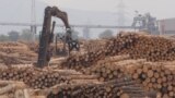 Азия: как Казахстан и Кыргызстан помогают обходить западные санкции