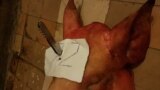 В Москве депутату подбросили свиную голову под дверь