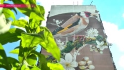 Не хуже Бэнкси: кто рисует картины на серых многоэтажках в Харькове?