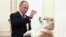 Президент РФ Владимир Путин с собакой по кличке Юмэ породы акита перед началом интервью японскому телеканалу "Ниппон" и газете "Иомиури" в преддверии официального визита в Японию, Москва, 13 декабря 2016
