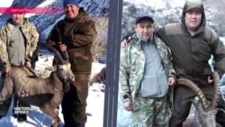 Чиновники в Кыргызстане попались на незаконной охоте