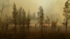 В Якутии лесные пожары угрожают 13 населенным пунктам