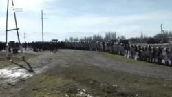 Новости. Коротко