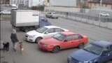 Скриншот видеозаписи камеры наблюдения магазина "Магнит" в Петрозаводске, 15 октября 2019 года. Девушка в серой шапке с собаками – журналистка Алла Константинова