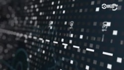 ЦИК уехал, Навальный остался. Час Тимура Олевского