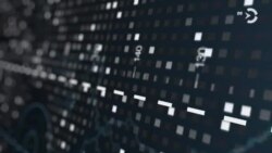 В "Сети" ФСБ и дружины националистов. Час Тимура Олевского