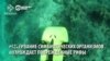 Ученые создали бота, который может "восстанавливать" рифы