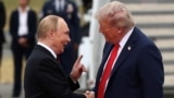 Прямая трансляция: встреча Владимира Путина и Дональда Трампа