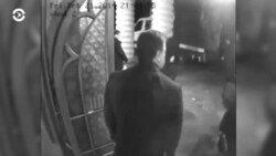 Новости. Коротко