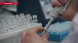 "Пятая колонка": сумасшедший и создатель "Дюшеса" – как российские СМИ придумали новый образ для Родченкова