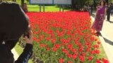 Kazakhstan -- people taking pictures in fron of the tulips called after president Nursultan Nazarbayev in Almaty on April 30, 2018