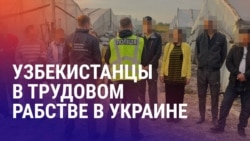Азия: узбекистанцев освободили из трудового рабства, вербовка кыргызстанца на войну