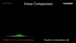 Сравнение голоса "Дельфина" и Николая Федоровича Ткачева