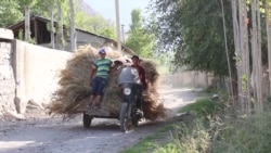 Как решать конфликт в анклаве Сох на границе Узбекистана и Кыргызстана